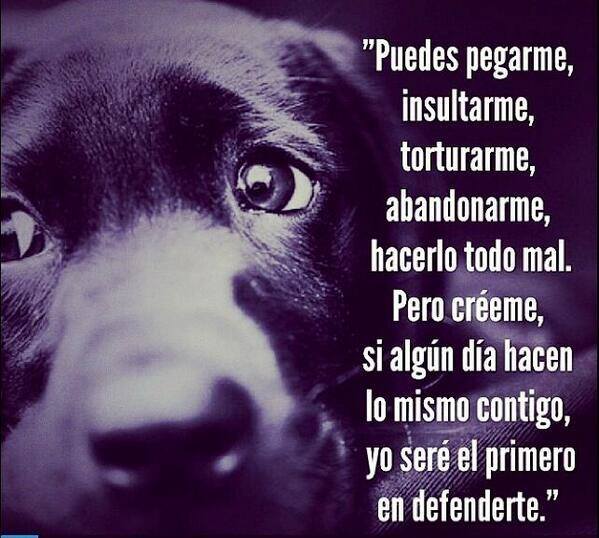 Yo seré el primero en defenderte