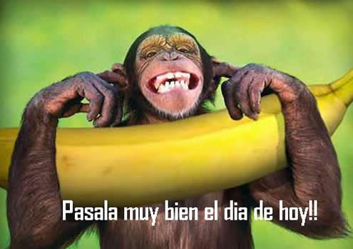 Pasala muy bien el día de hoy