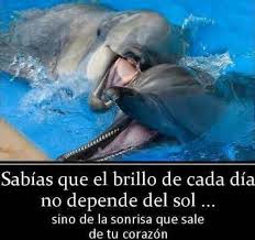 La sonrisa que sale de tu corazón