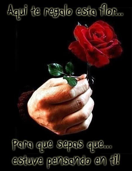 Aquí te regalo esta flor