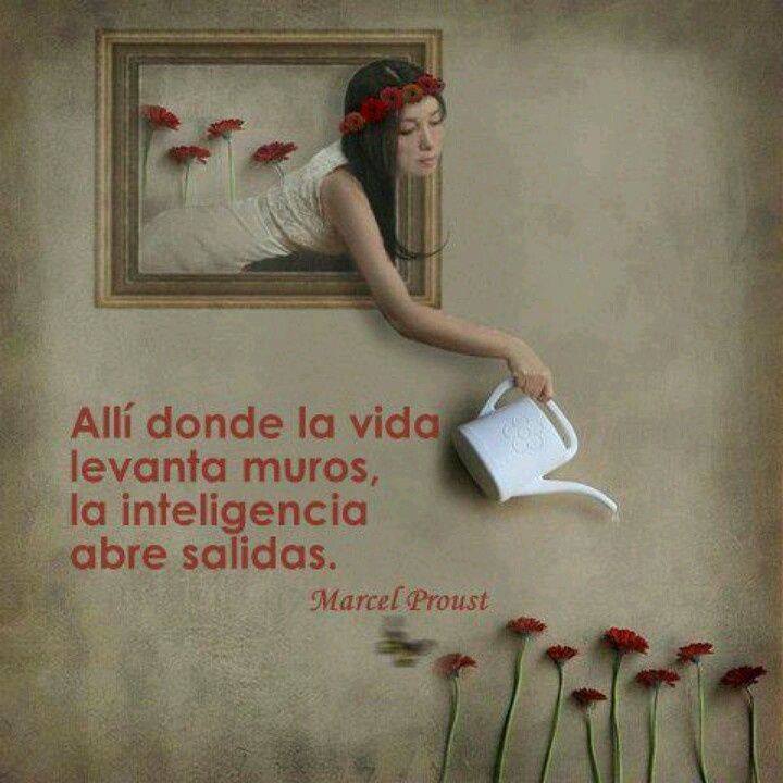 Allí donde la vida levanta muros