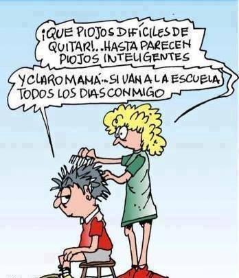 Que piojos tan difíciles de quitar