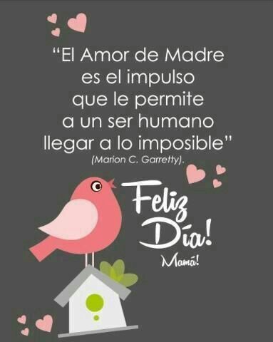 El Amor de Madre