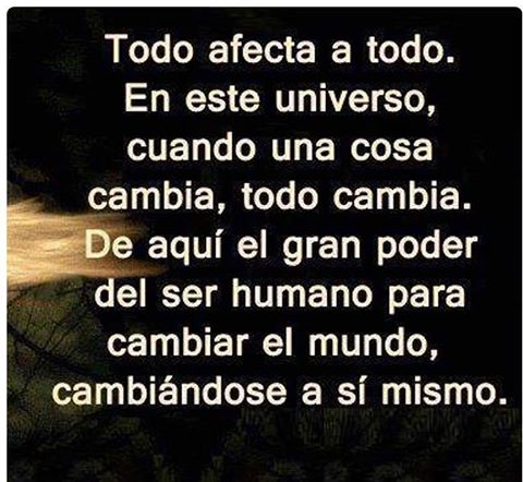 Todo afecta a todo
