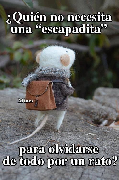 Quién no necesita una escapadita