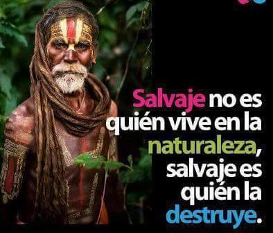 Salvaje no es quien vive en la naturaleza