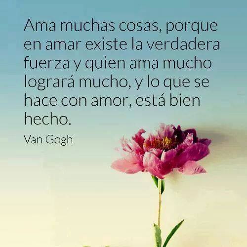 Ama muchas cosas