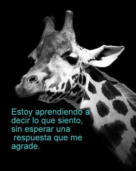 Estoy aprendiendo a decir lo que siento