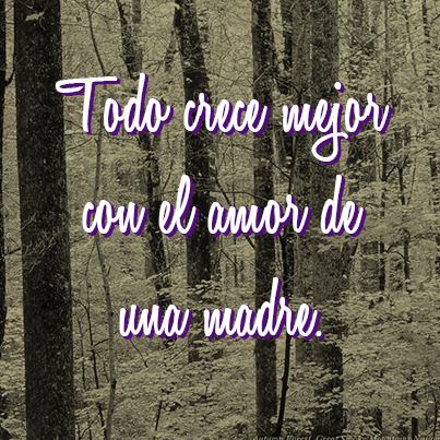 Todo crece mejor con el amor de una madre