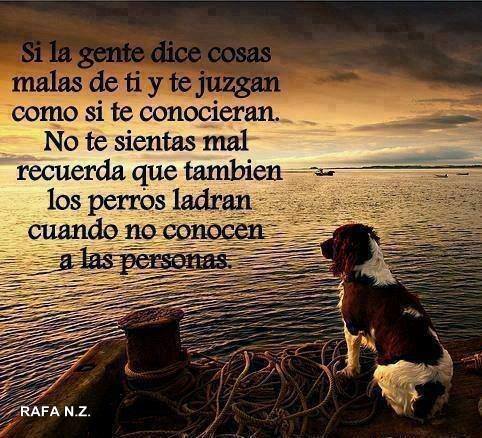 Si la gente dice cosas malas de ti