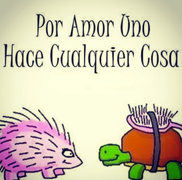 Por amor uno hace cualquier cosa