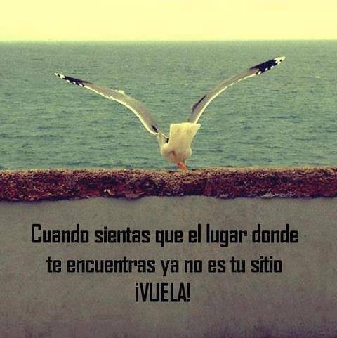 El lugar donde te encuentras ya no es tu sitio