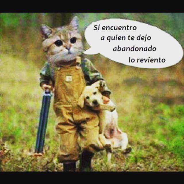 Si encuentro a quien te dejó abandonado lo reviento