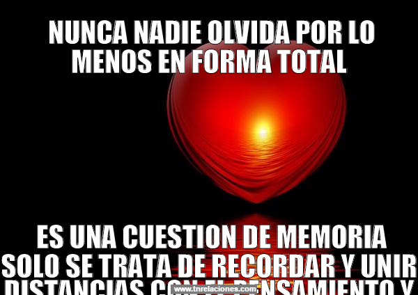 Solo Tu