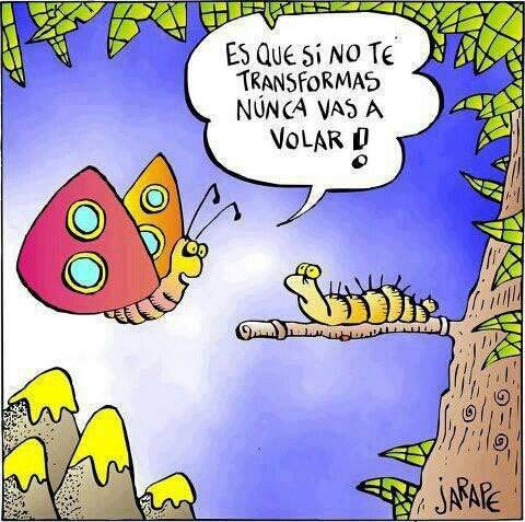 Si no te transformas nunca vas a volar