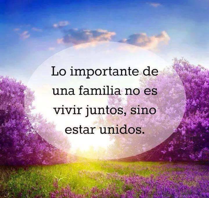 Lo importante de una familia no es vivir juntos, sino estar unidos