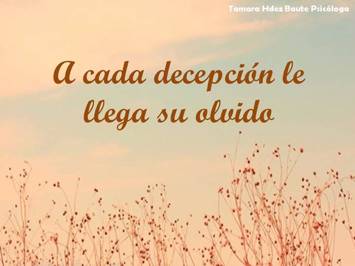 A cada decepción le llega su olvido