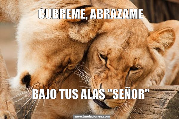 Cúbreme, abrázame entre tus alas Señor