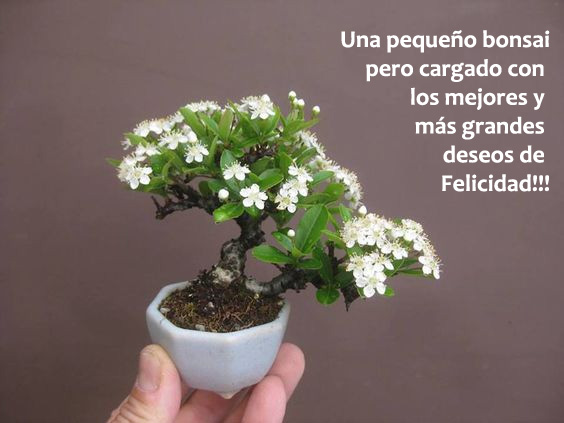 Los mejores y más grandes deseos de felicidad