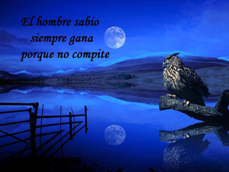 El hombre sabio siempre gana porque no compite