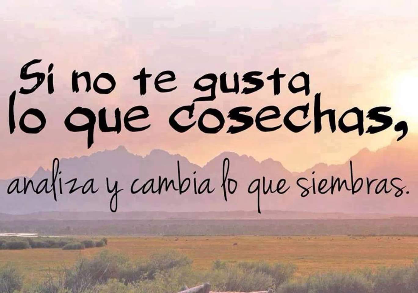 Si no te gusta lo que cosechas