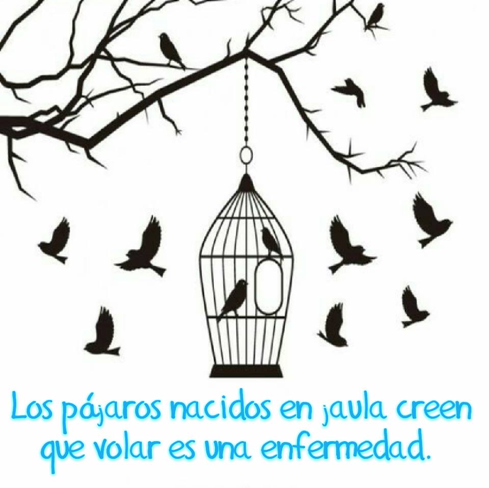 Los pájaros nacidos en jaula