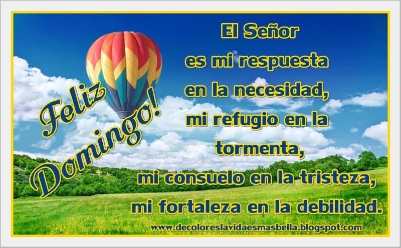 Feliz Domingo!