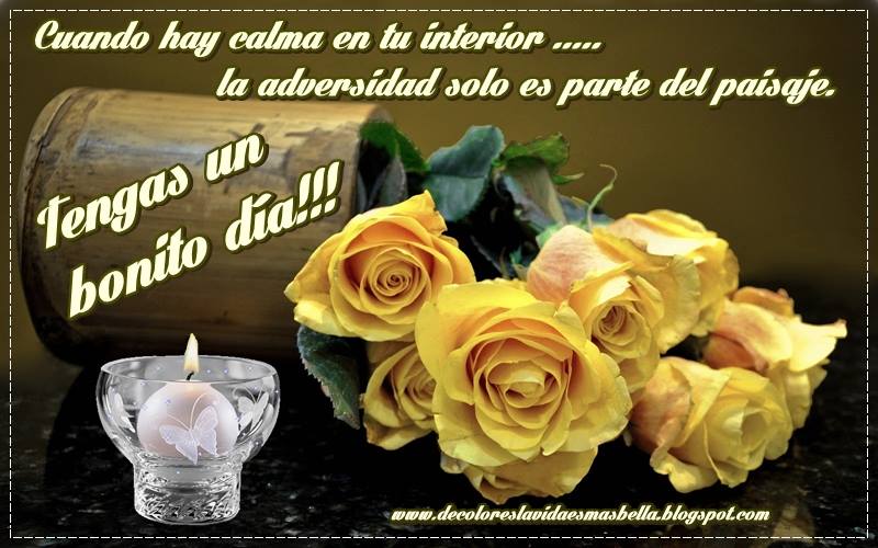 Tengas un bonito Día!