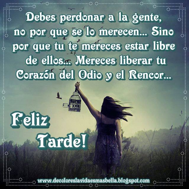 Feliz Tarde!