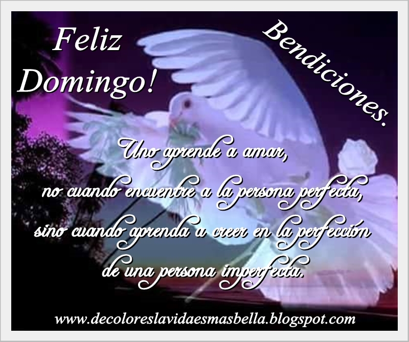 Feliz Domingo! Bendiciones.
