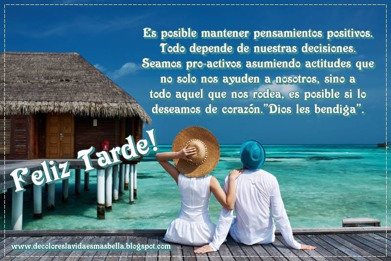 Feliz Tarde!