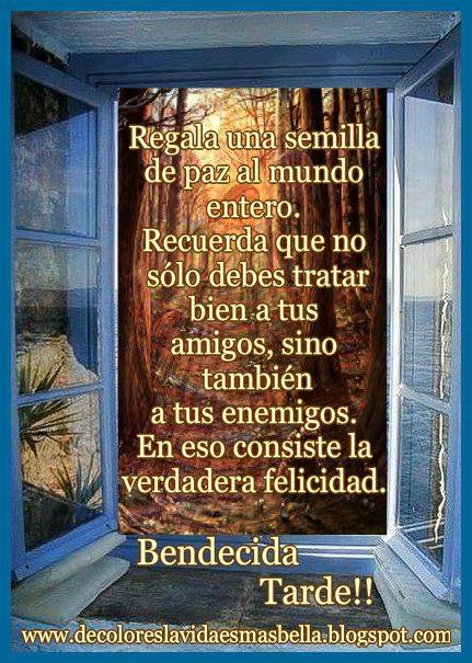Bendecida Tarde!!