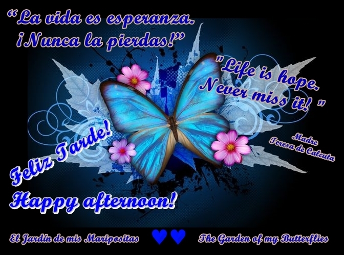 Feliz Tarde! ƸӜƷ Happy afternoon!…