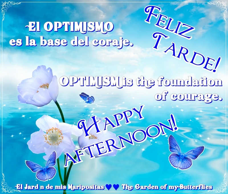 Feliz Tarde ƸӜƷ Happy Afternoon