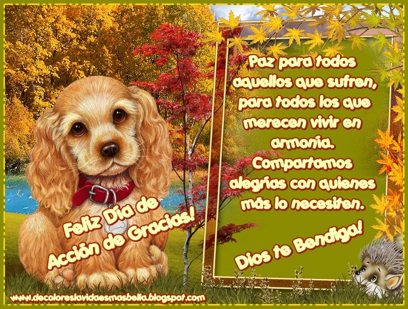 Feliz día de Acción de Gracias!