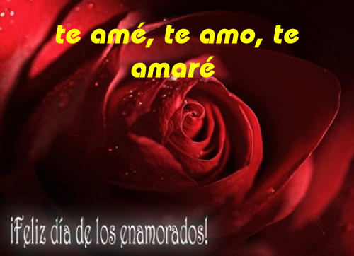 Te amé, te amo, te amaré. Feliz día de los enamorados