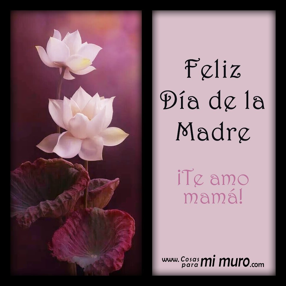 Feliz Día de la Madre. ¡Te amo mamá!