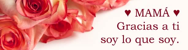 Mamá. Gracias a ti soy lo que soy. Felicidades y que pases un buen día.