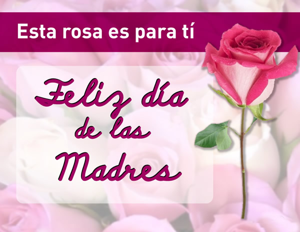 Esta rosa es para ti. Feliz Día de las Madres.