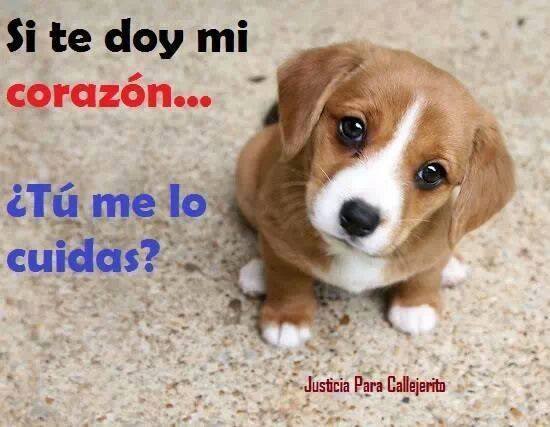 Te doy mi corazón… ¿Tú me lo cuidas?