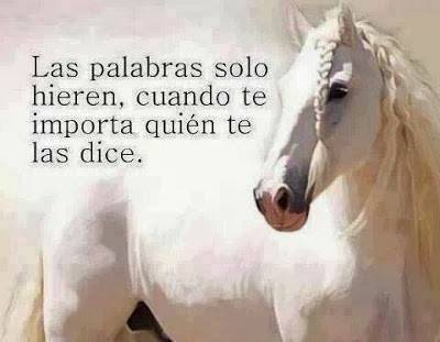 Las palabras solo hieren, cuando te importa…