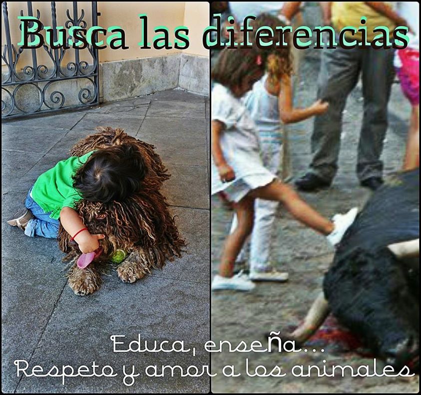 Busca las diferencias… Educa, enseña… Respeto y amor…