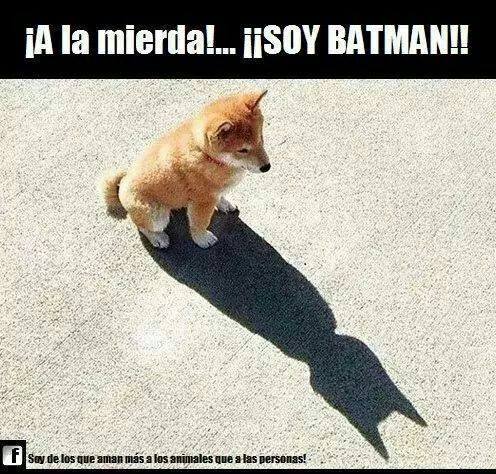 ¡A la mierda!… ¡¡Soy Batman!!!