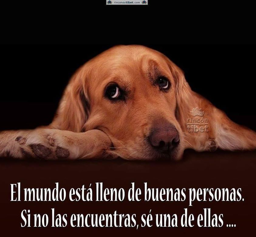 El mundo está lleno de buenas personas.