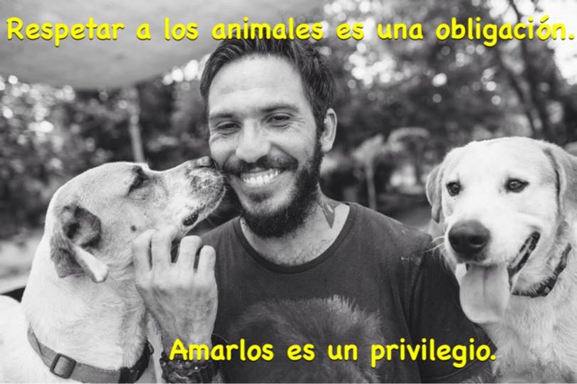 Pensando en los animales, nuestros compañeros de viaje