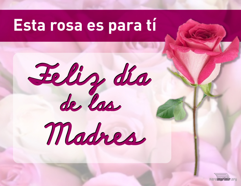 Esta rosa es para ti. Feliz Día de las Madres.