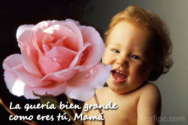 La quería bien grande como eres tú, Mamá