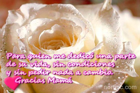 Para quien me dedicó una parte de su vida, sin condiciones…