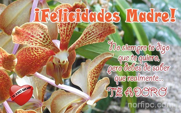 ¡Felicidades Madre! No siempre te digo que te quiero…