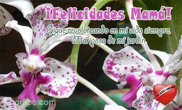 ¡Felicidades Mamá! Sigue revoloteando en mi vida siempre…